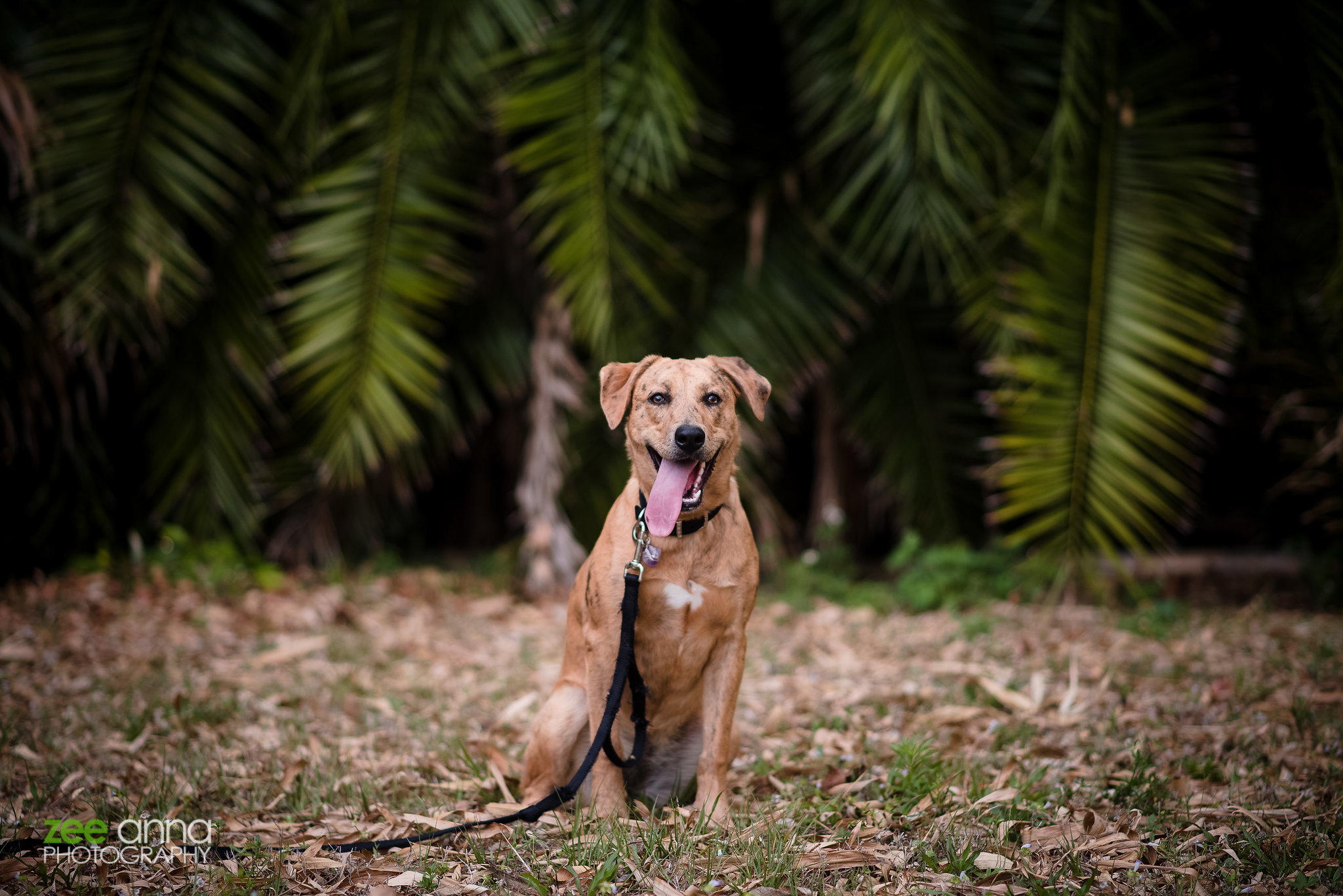 Senior Session at Koreshan State Park in Estero, Florida