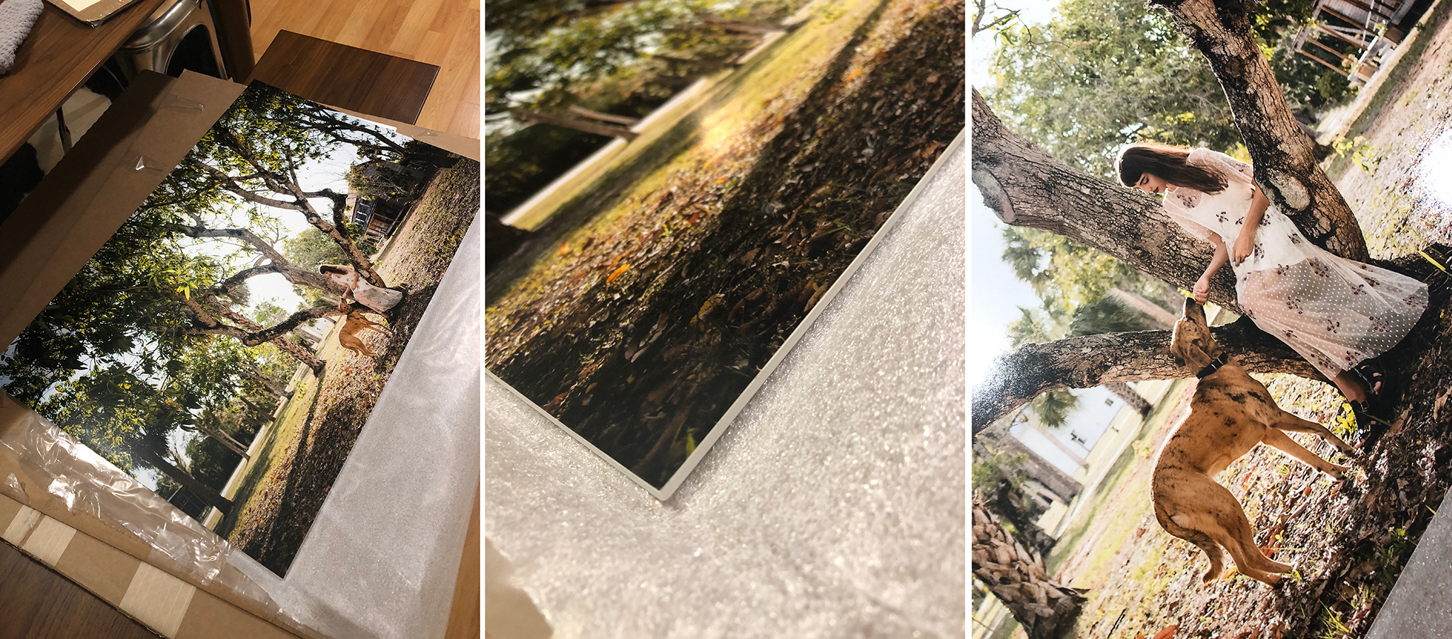 Double Mounted High Quality Professional 20"x30" Print