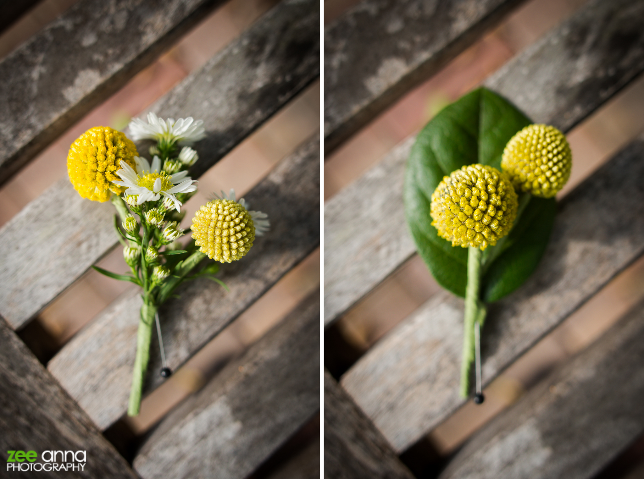 NaplesBotanicalGardenWedding-MelissaSean-5