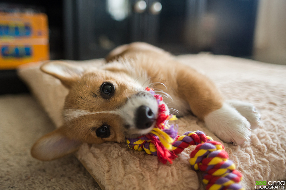 Ohio Summer Road Trip 2013