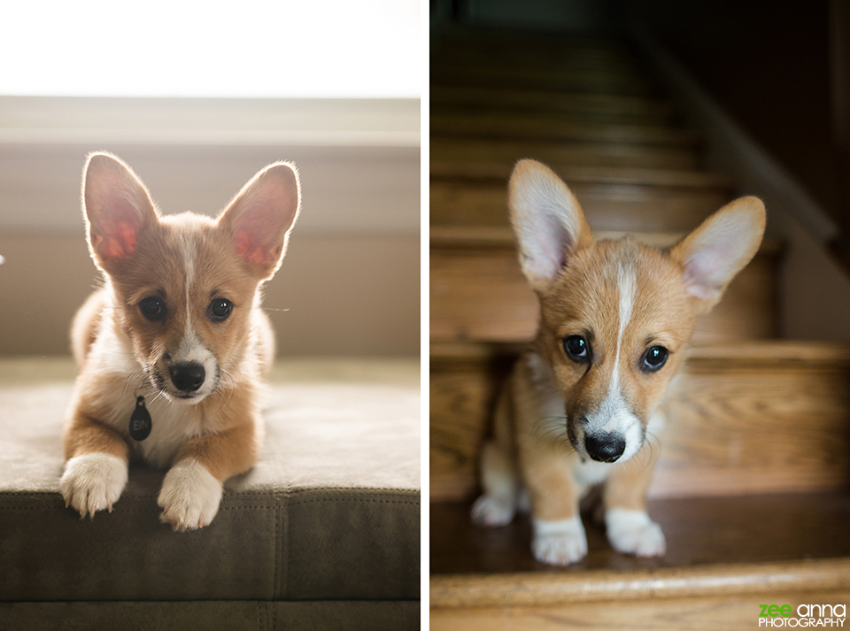 Ohio Summer Road Trip 2013