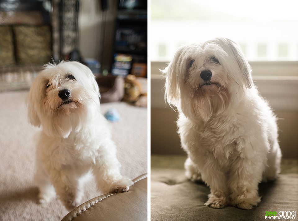 Ohio Summer Road Trip 2013