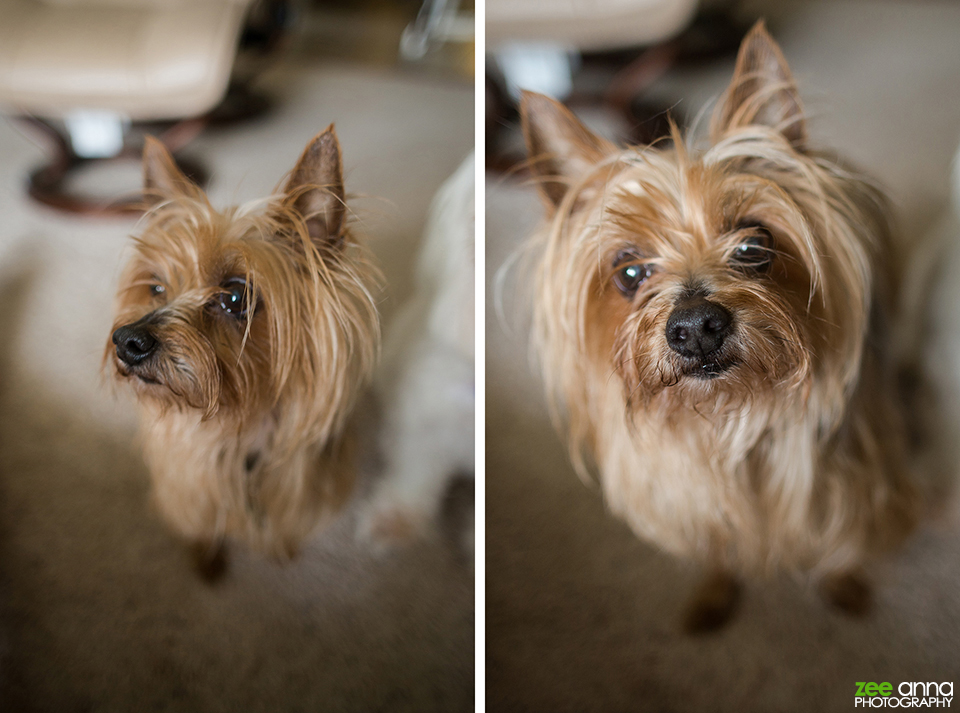 Ohio Summer Road Trip 2013