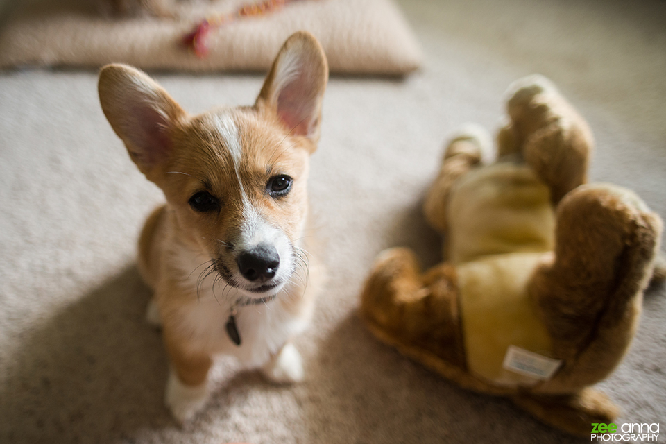 Ohio Summer Road Trip 2013