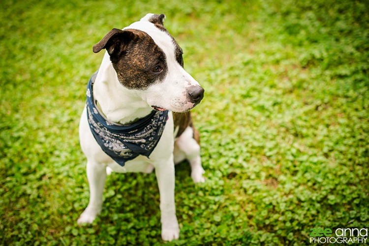 Ohio engagement photography by zee anna photography