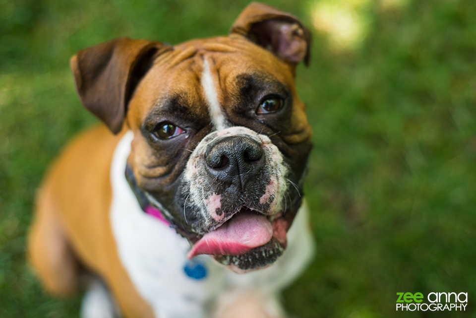 Nashville portrait session with Amy & Bailey