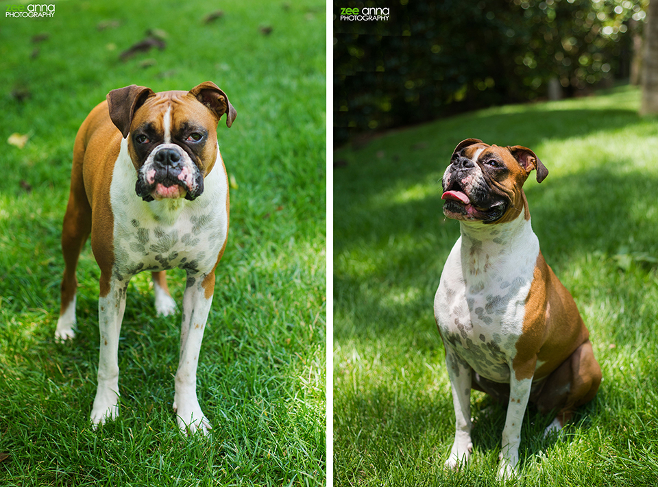 Nashville portrait session with Amy & Bailey