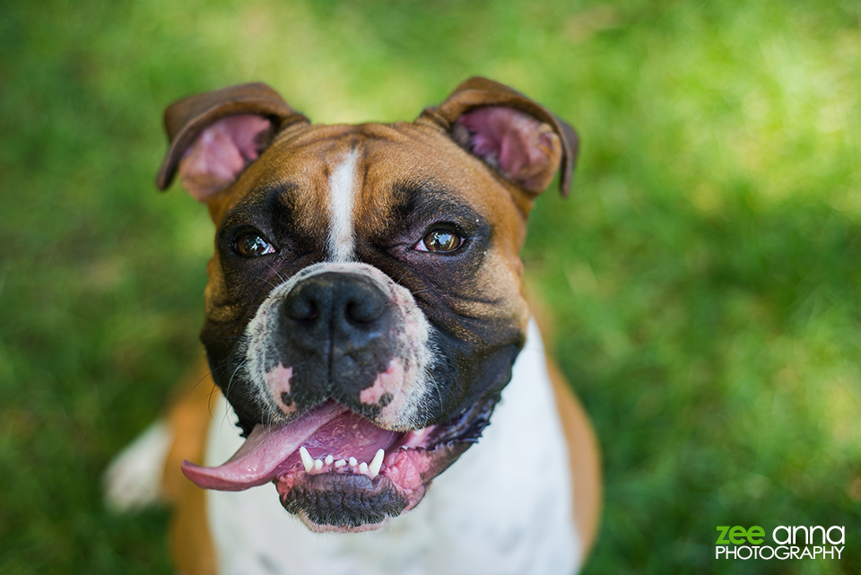 Nashville portrait session with Amy & Bailey